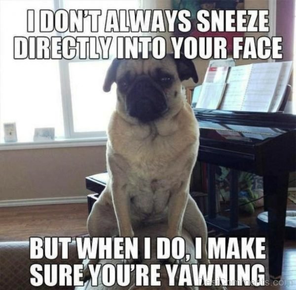 I Dont Always Sneeze Directly