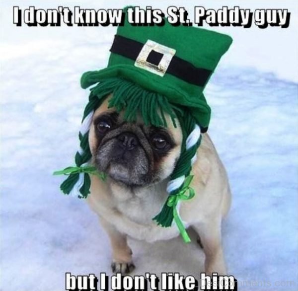I Dont Know This St Paddy Guy
