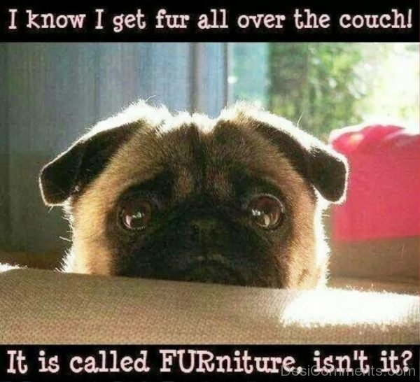 I Know I Get For All Over The Couch