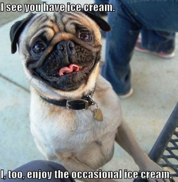 I See You Have Ice Cream