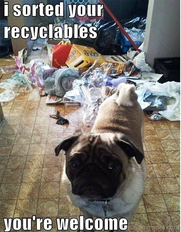I Sorted Your Recyclables