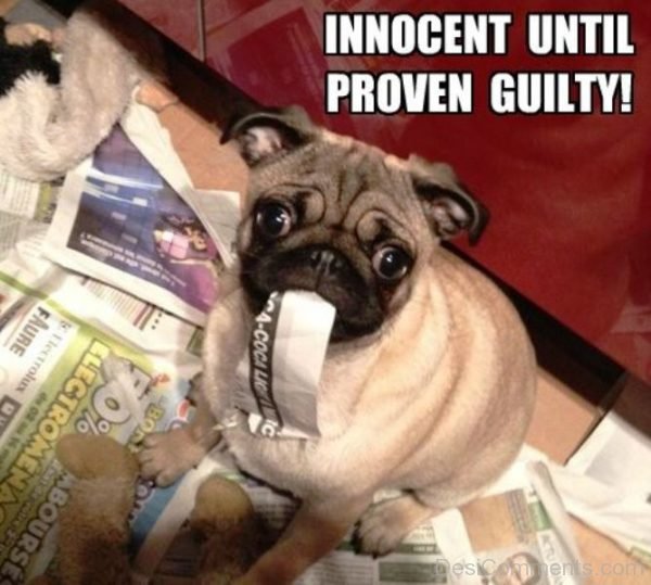 Innocent Until Proven Guilty