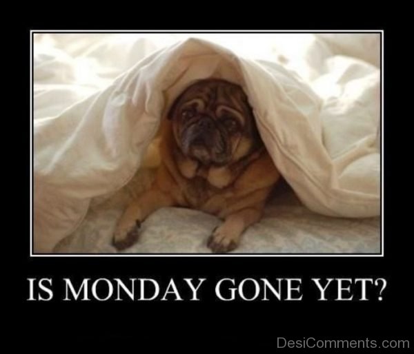 Is Monday Gone Yet