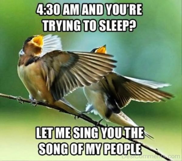 Let Me Sing You The Song Of My People