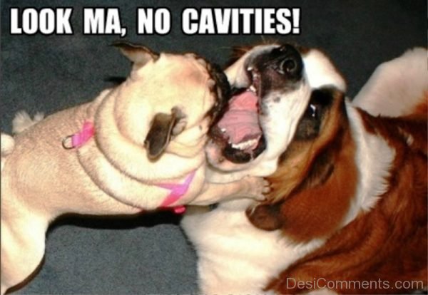 Look Ma No Cavities