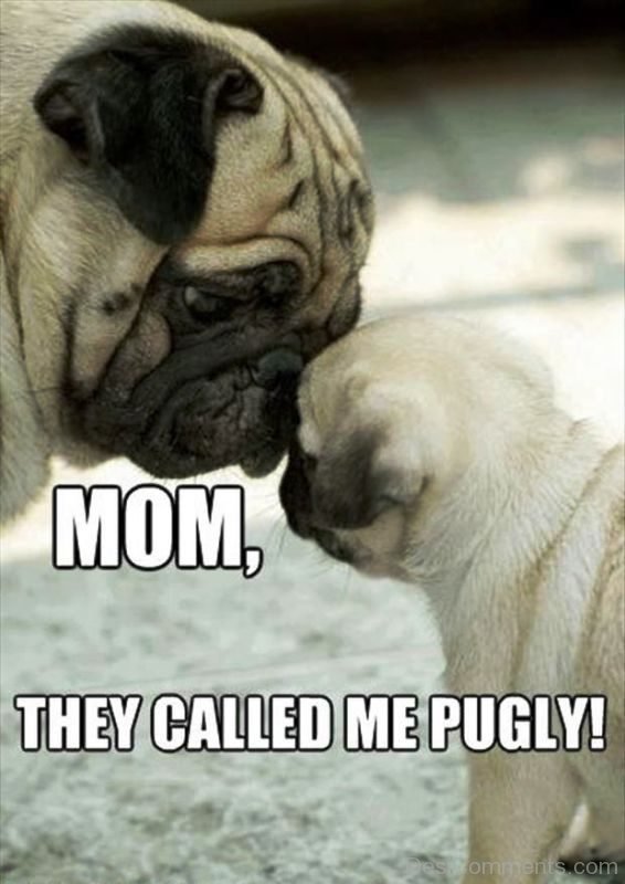 Mom They Called Me Pugly