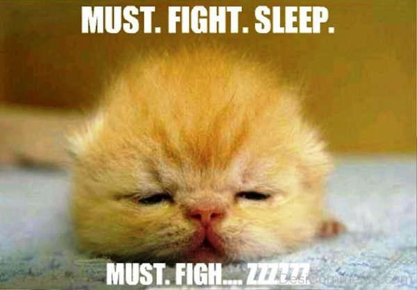 Must Fight Sleep