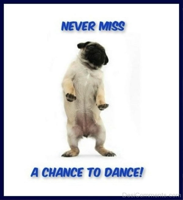 Nevr Miss A Chance To Dance