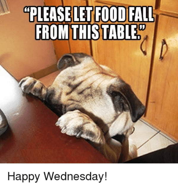 Please Let Food Fall From This Table