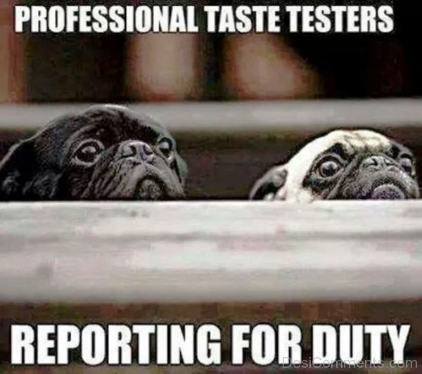 Professional Taste Testers