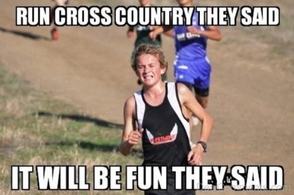 Run Cross Country They Said