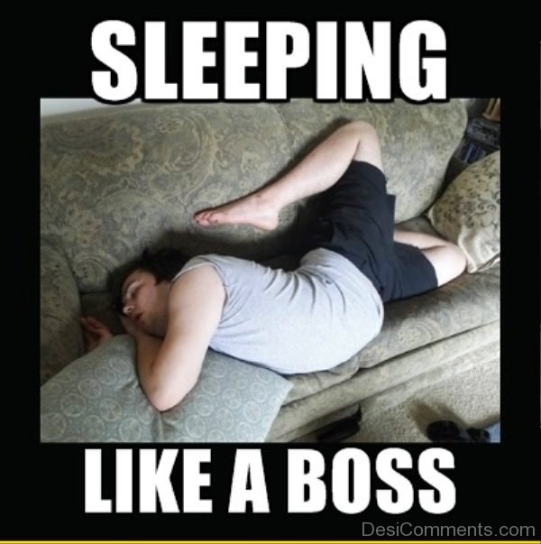 Sleeping Like A Boss