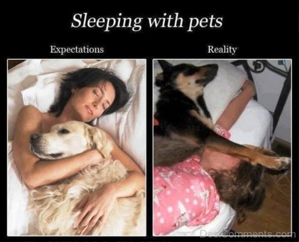 Sleeping With Pets