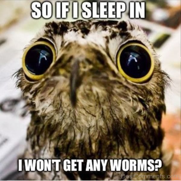 So If I Sleep In I Wont Get Any Worms