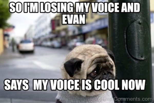 So Im Losing My Voice And Evan