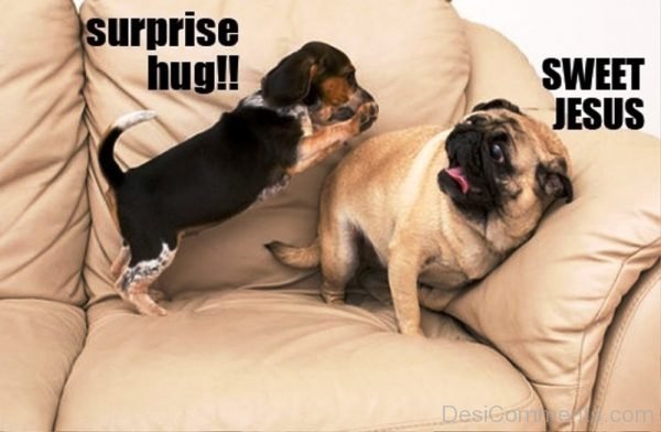 Surprise Hug