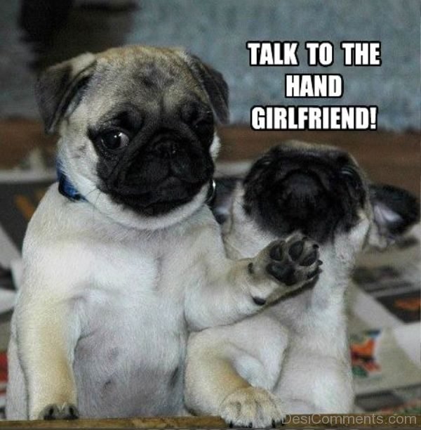 Talk To The Hand Girlfriend