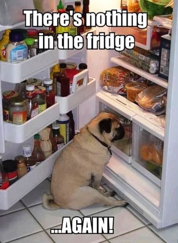 Theres Nothing In The Fridge