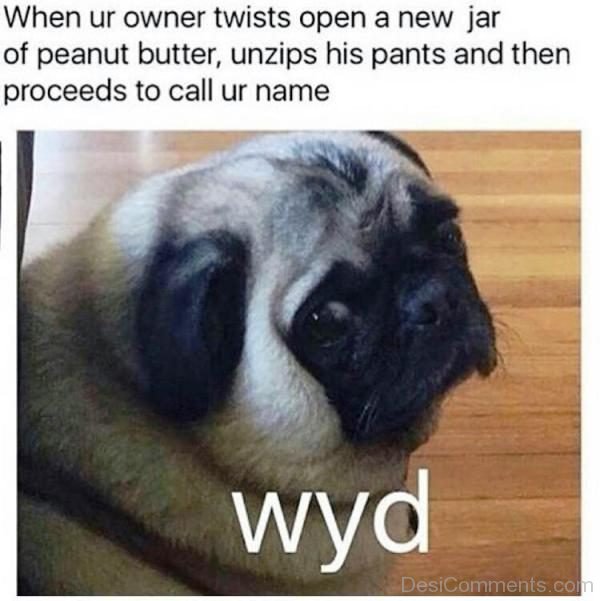 When Your Owner Twists Open A New Jar