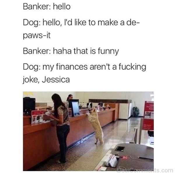 Banker Vs Dog