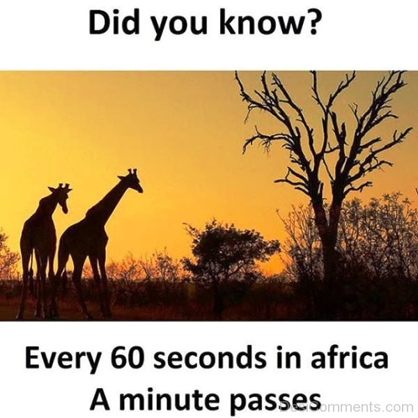 Did You Know