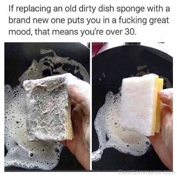 If Replacing An Old Dirty Dish Sponge