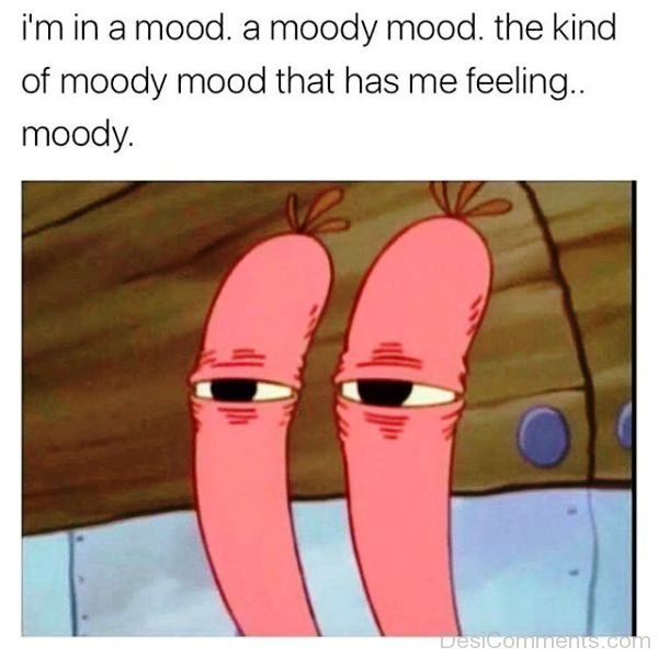 Im In A Mood A Moody Mood