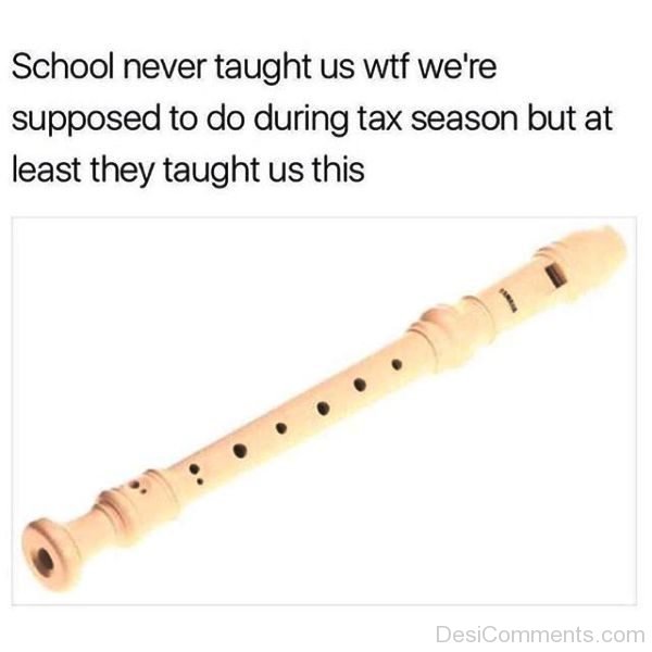 School Never Taught Us WTF We re Supposed