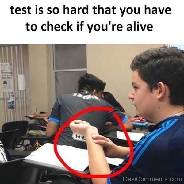 Test Is So Hard