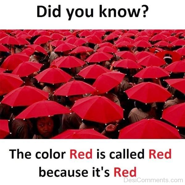 The Color Red Is Called Red