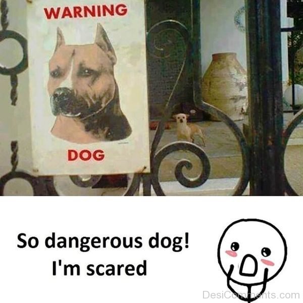 Warning Dog