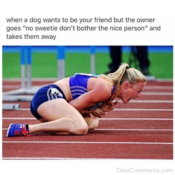 When A Dog Wants To Be Your Friend