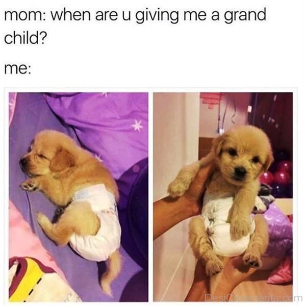 When Are You Giving Me A Grand Child