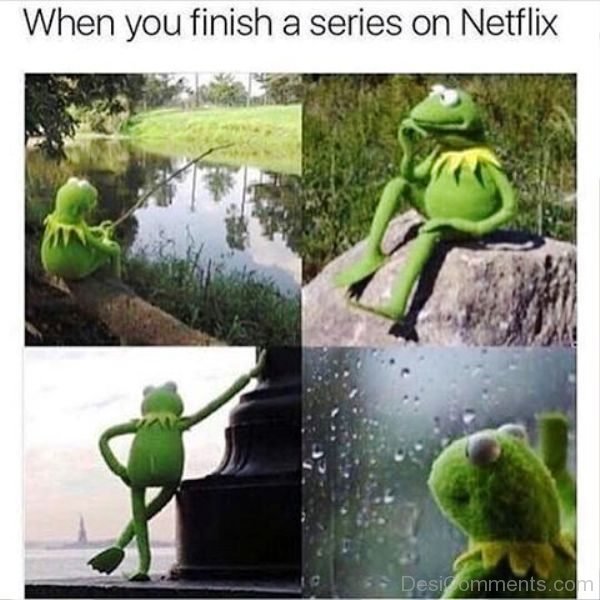 When You Finish A Series On Netflix