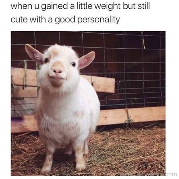 When You Gained A Little Weight