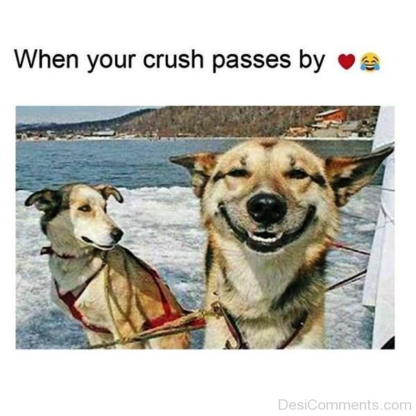 When Your Crush Passes By