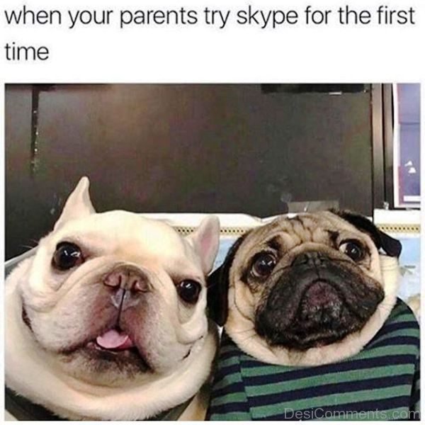 When Your Parents Try Skype