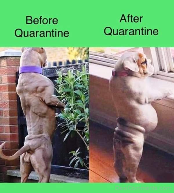 Before And After Quarantine