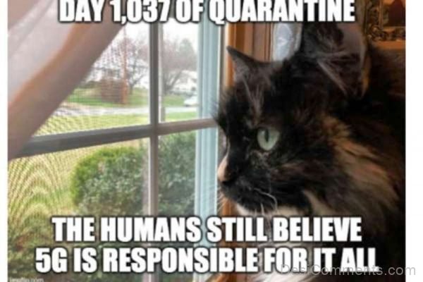 Day 1037 Of Quarantine