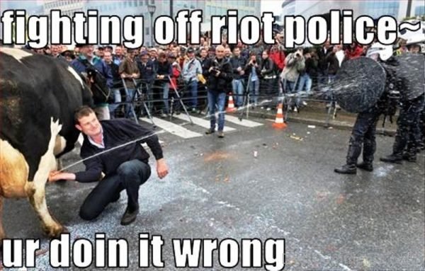 Fighting Off Riot Police