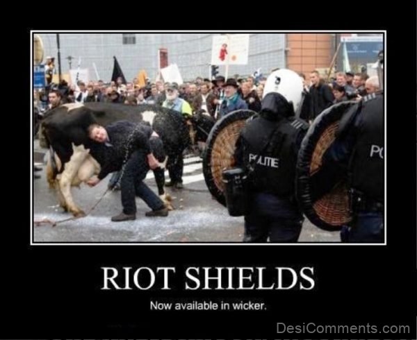 Riot Shields