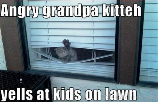 Angry Grandpa Kitteh