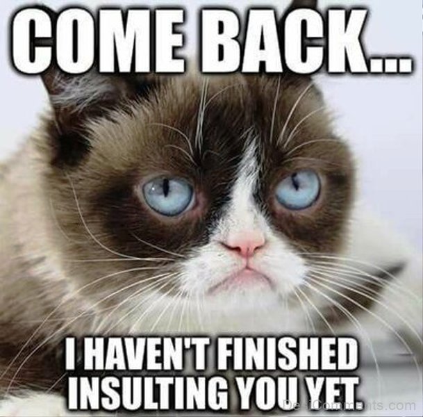 grumpy cat meme justin bieber