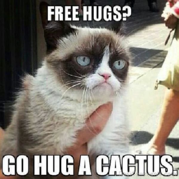 Free Hugs