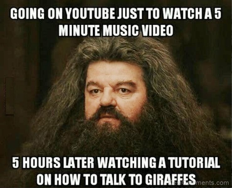 50 Brilliant Music Memes For You Funny Pictures