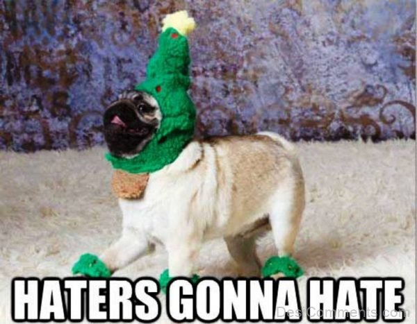 Haters Gonna Hate