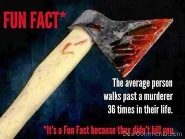 Its A Fun Fact