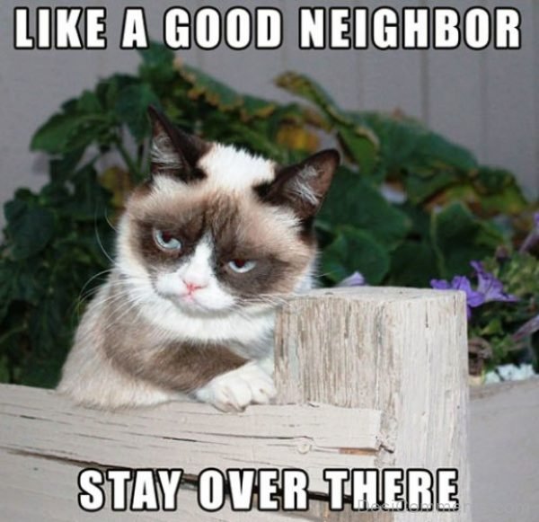 Like A Good Neighbor