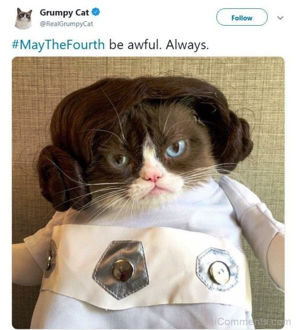 May The Fourth Be Awful