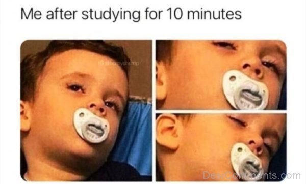 Me After Studying For 10 Minutes